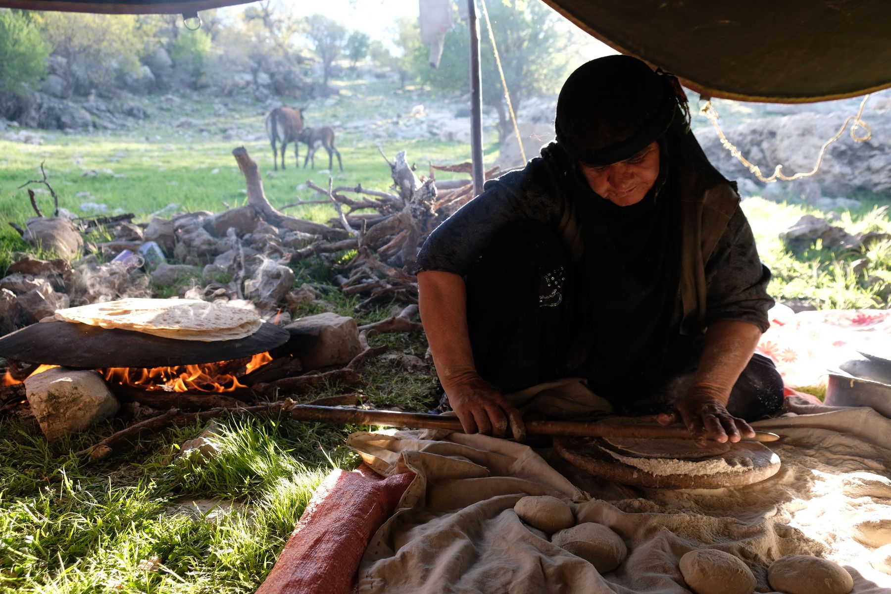 woman baking at nomadic camp in iran
