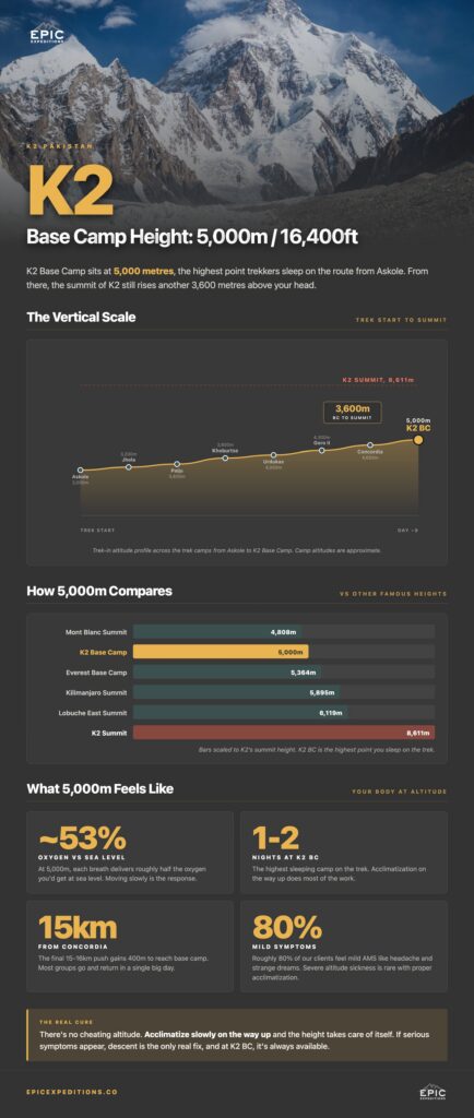 Infographic showing the height of K2 base camp trek in Pakistan