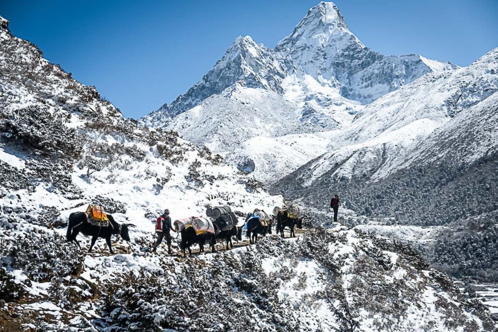 island peak climbing nepal