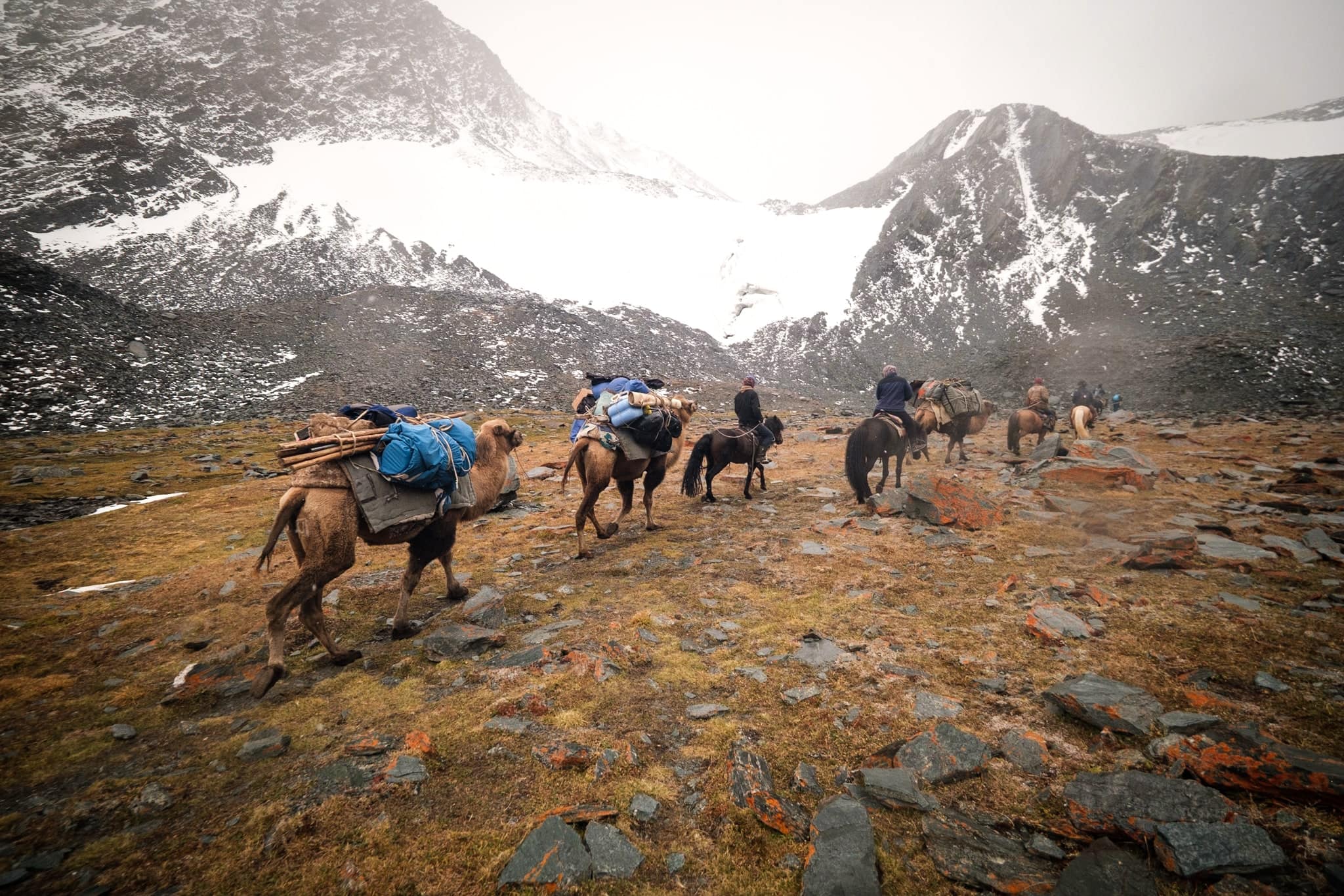 horse trekking Mongolia