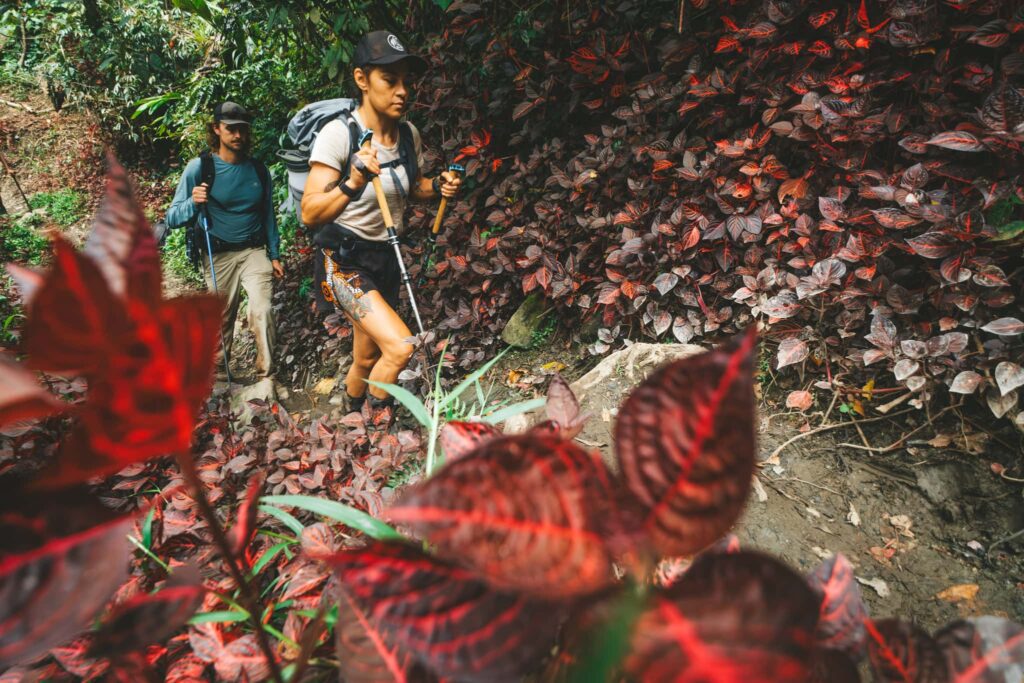 Trekkers on the Kokoda Track in PNG