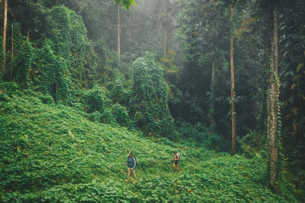 Hiking the Kokoda Track in Papua New Guinea