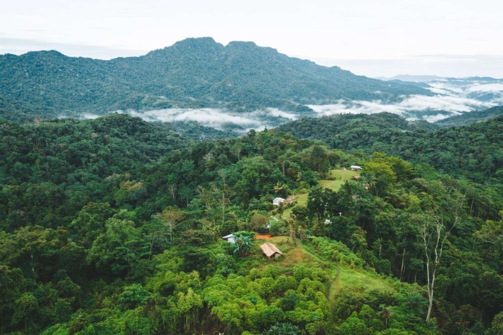 Mountains of Papua New Guinea