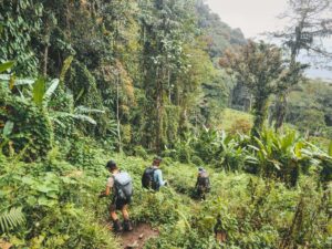Trekkers hiking on the Kokoda Track in PNG