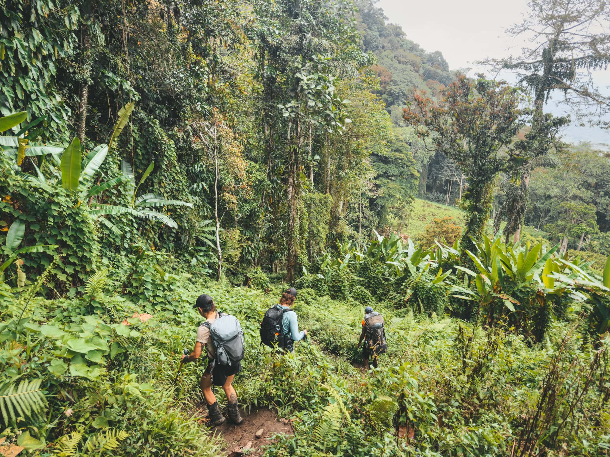 Trekkers hiking on the Kokoda Track in PNG