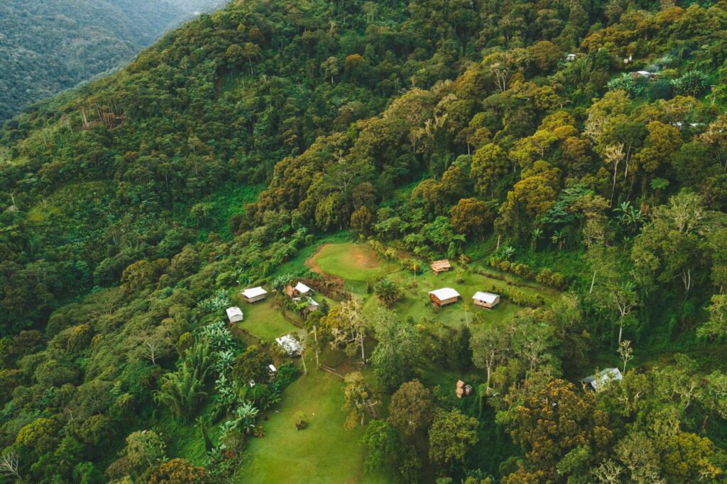 View of the green mountains on the Kokoda Track