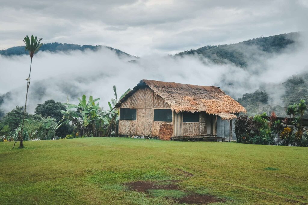 Hut in Papua New Guinea