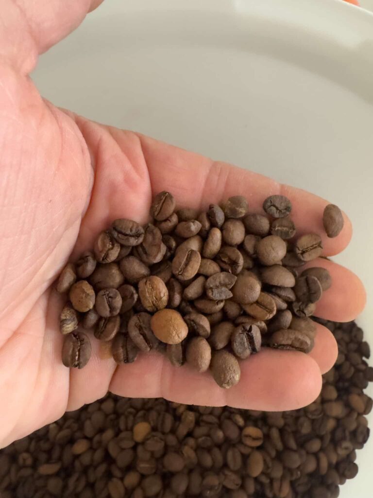 Coffee beans in hand