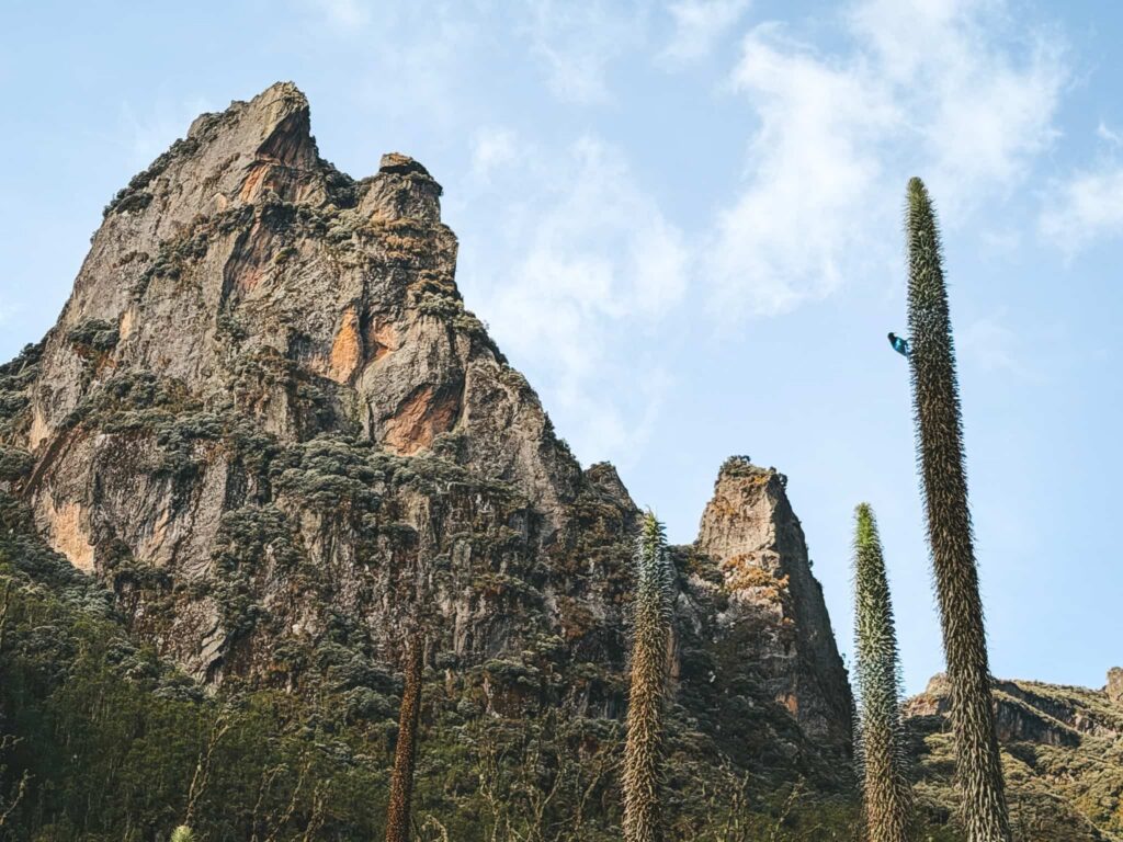 Landscapes of the Rwenzori Mountains