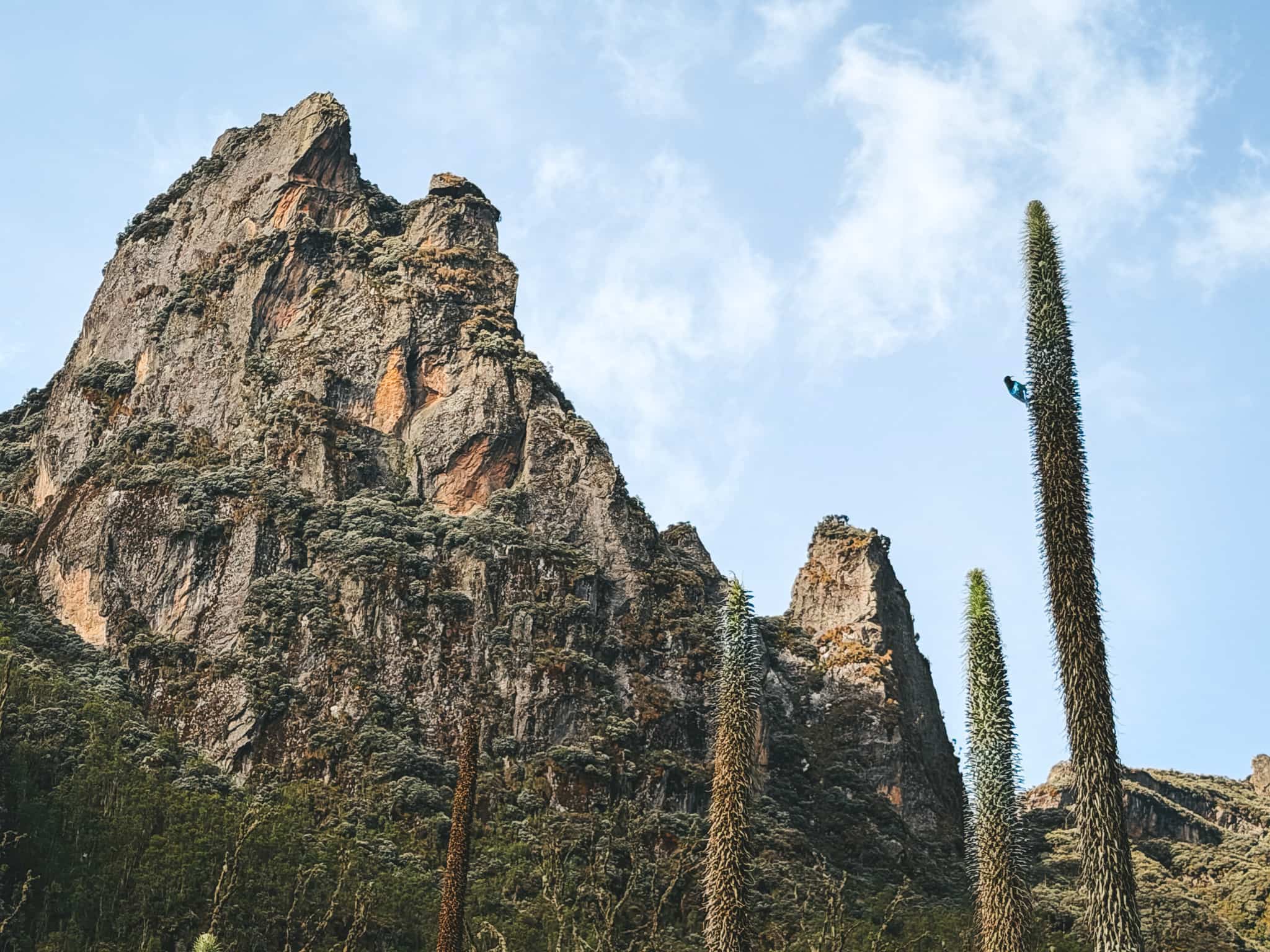 Landscapes of the Rwenzori Mountains